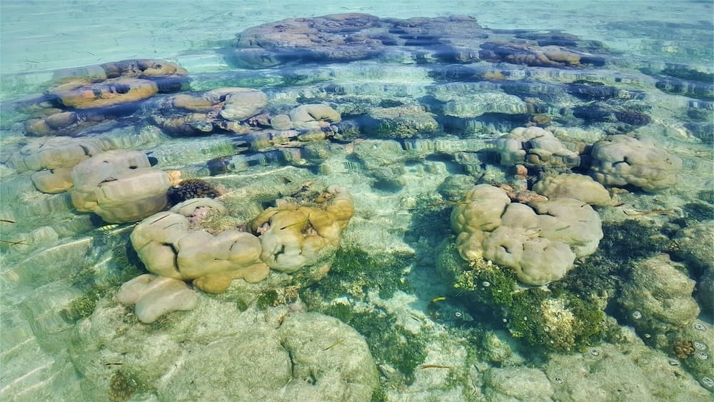 Explore Island Inn - View 3