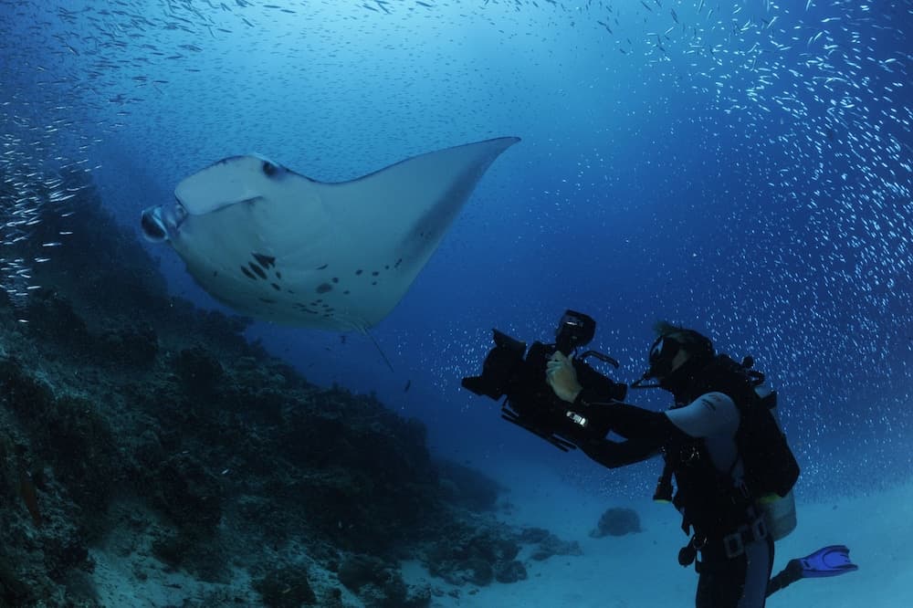 White Diamond - View 12