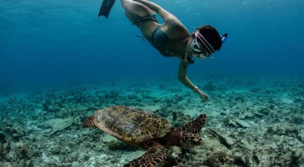 White Sand Dhigurah - View 48