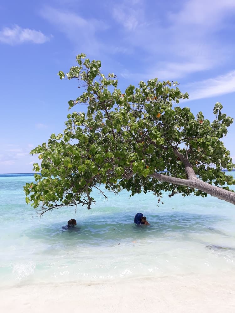 Hibiscus Holidays - View 22