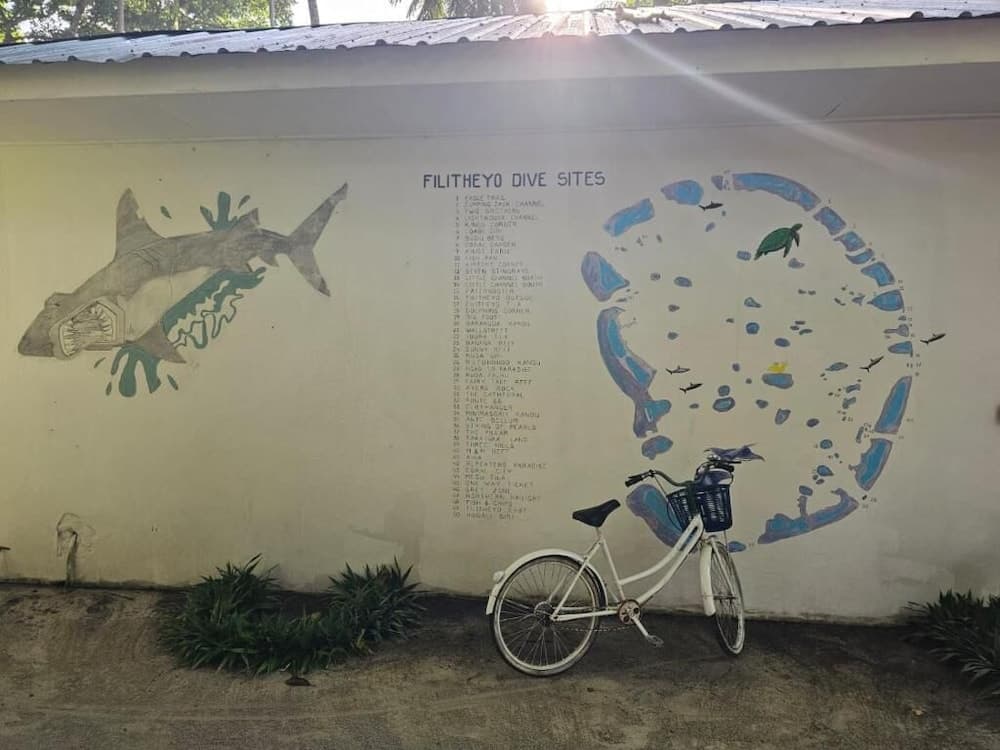 Filitheyo Island Resort - View 105