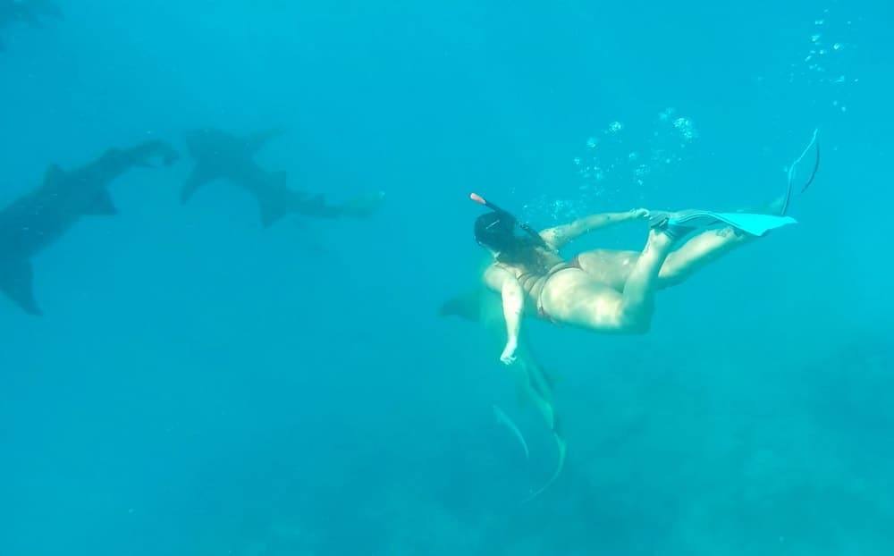 Adroit Beach Inn - View 122