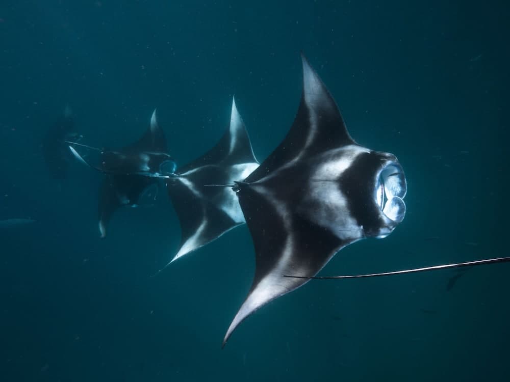The Nautilus Maldives - View 40