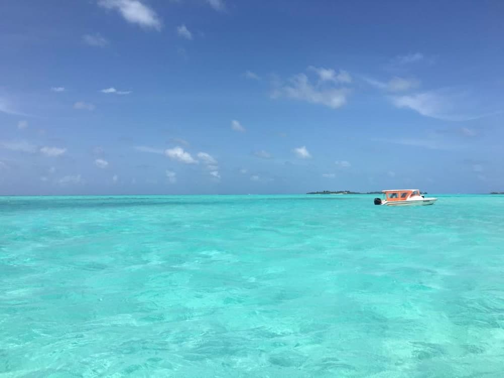 Sunshine View - View 7