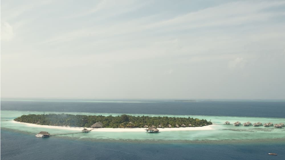 Kihaa Maldives - View 195