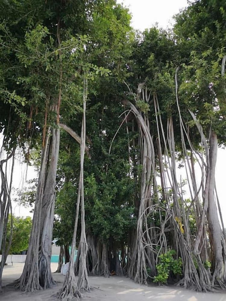 Nolhi Escape - View 36