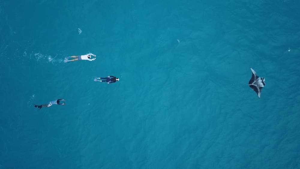 Ukulhas Beach Inn - View 66