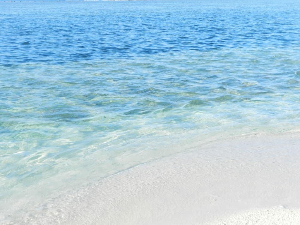 Whale Shark Inn Maldives - View 22