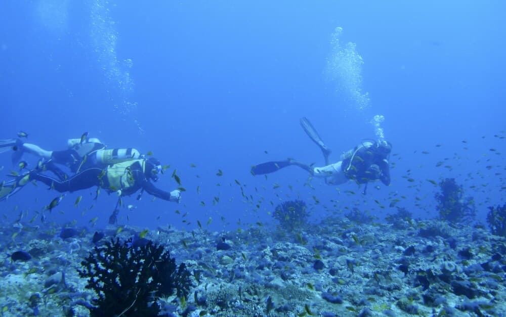 NH Collection Maldives Reethi Resort - View 74