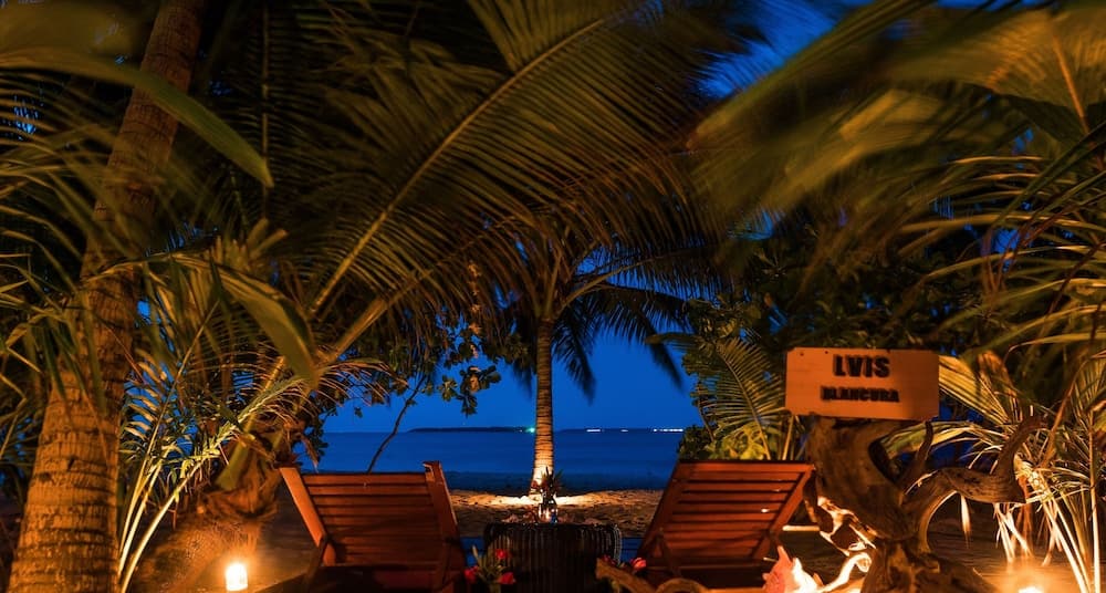 LVIS blancura - View 10