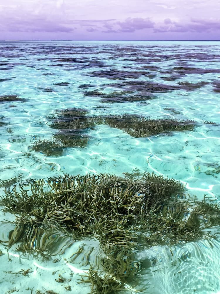 Hide Inn Blue - View 23