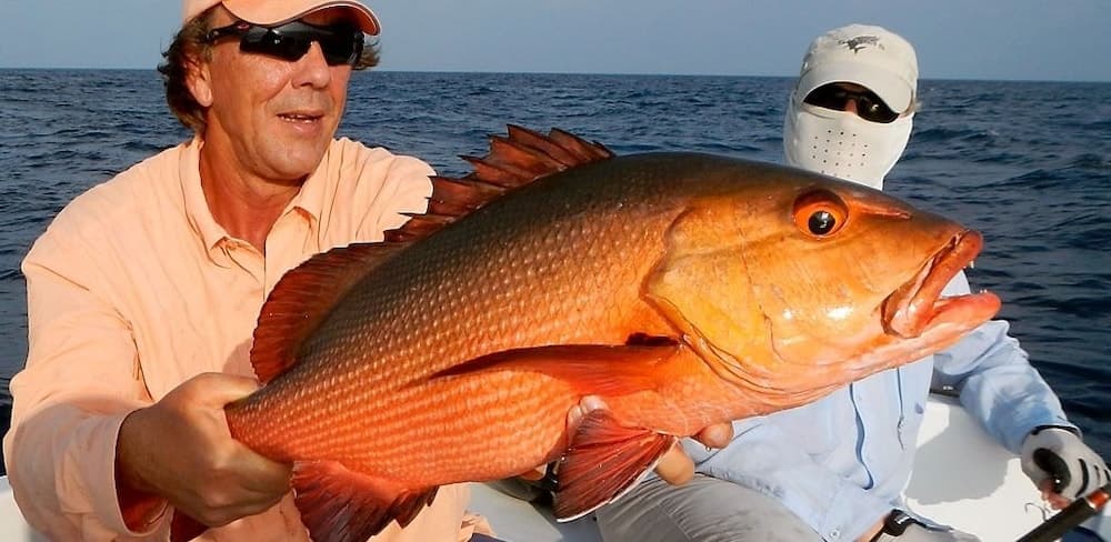 White Diamond - View 13