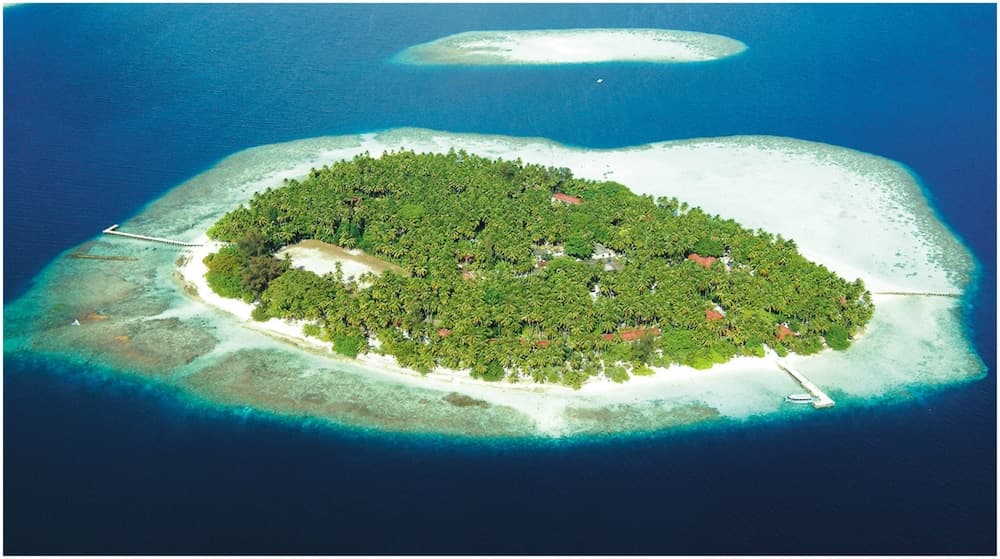 Biyadhoo Island Resort - View 20