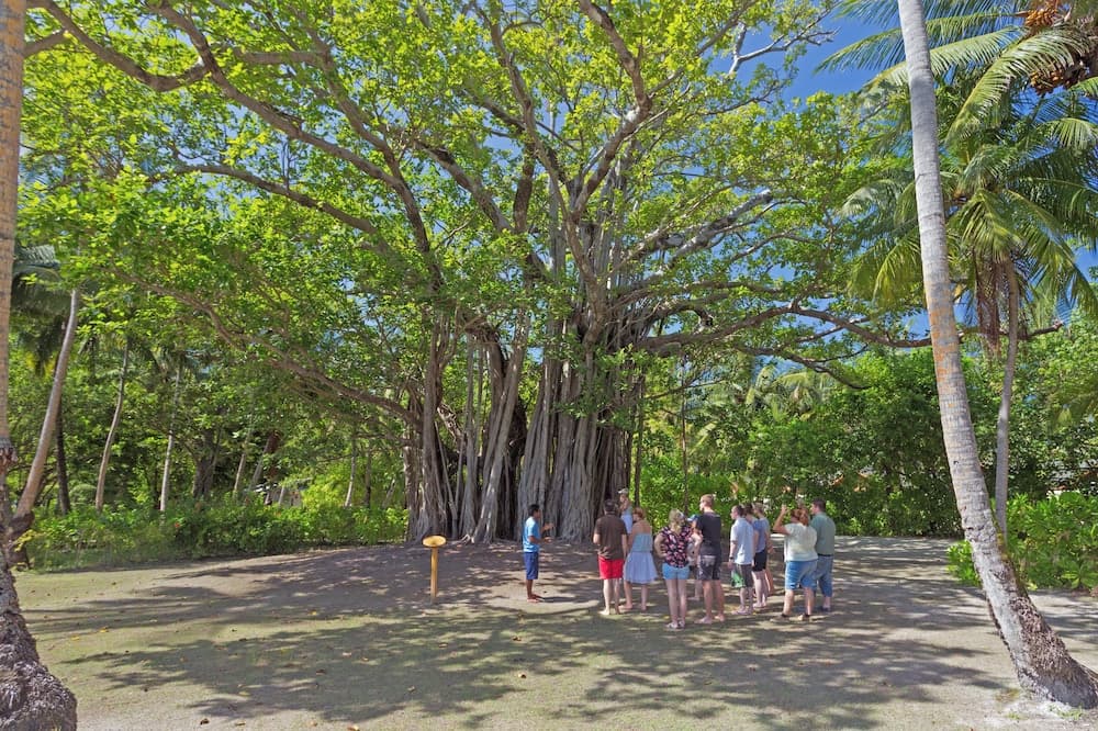 Meeru Maldives Resort Island - View 129