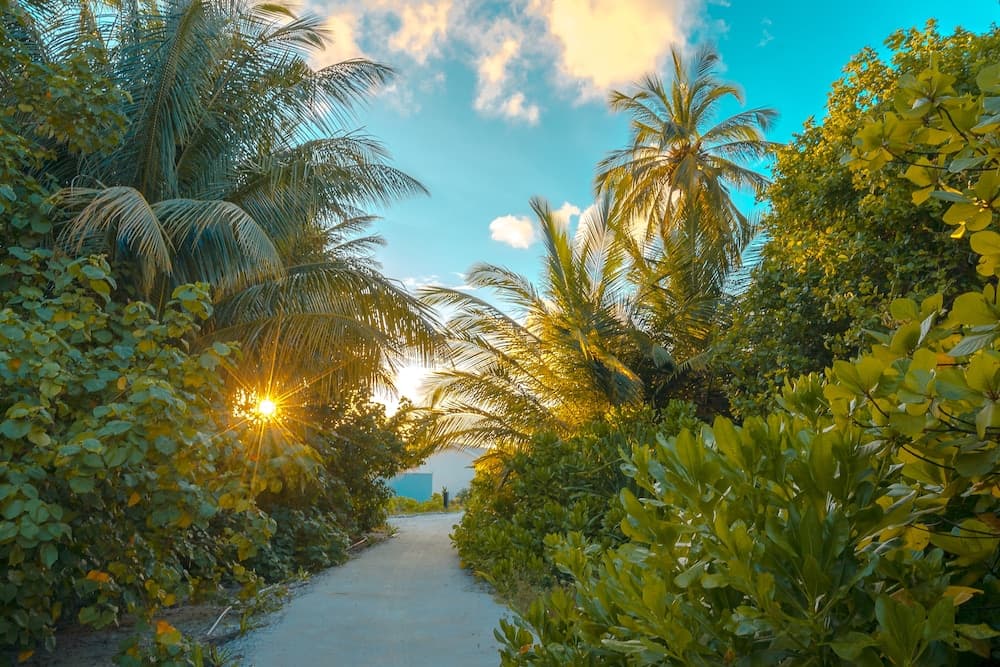 Rahaa Resort Maldives - View 72