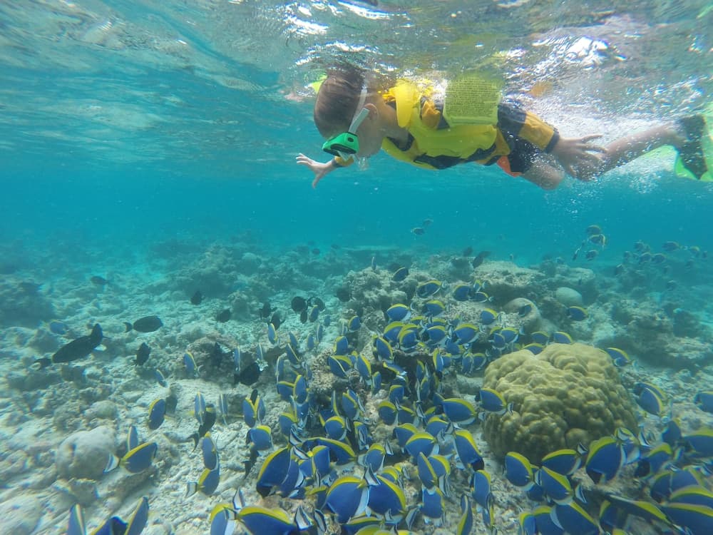 Mariana Inn Maldives - View 50