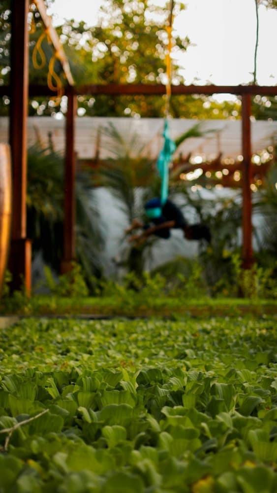 Malahini Kuda Bandos Resort - View 28