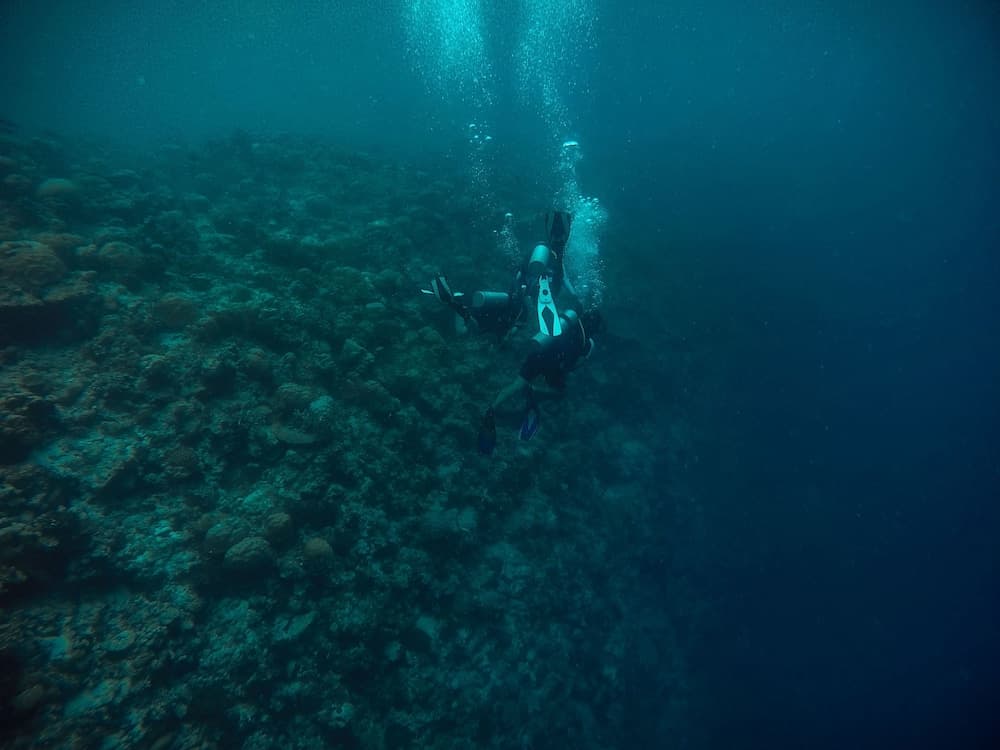 Royal Inn Rasdhoo - View 5