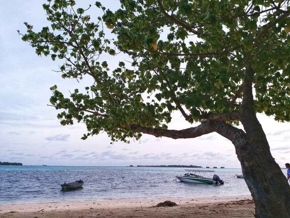 Medhufaru Inn - View 62