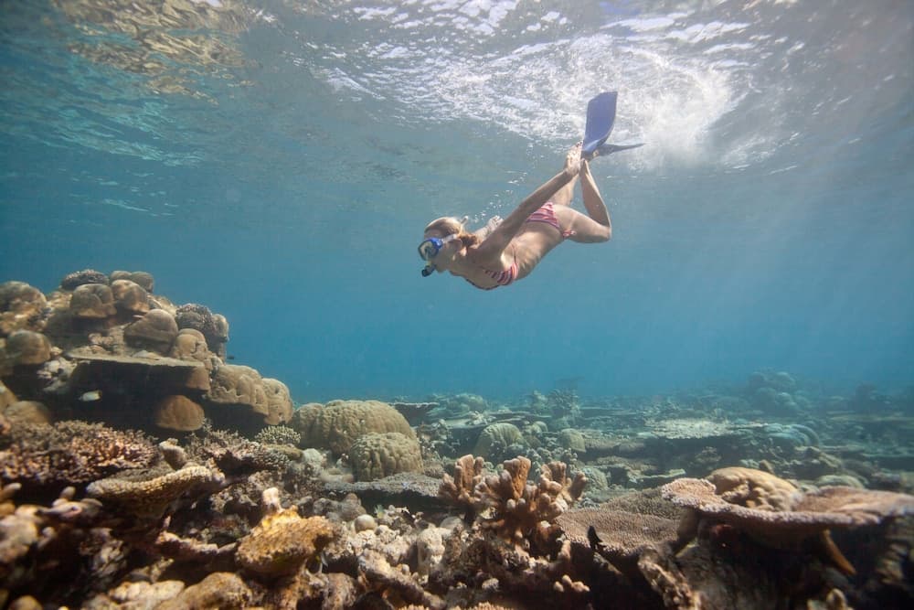 Sun Siyam Iru Fushi - View 100