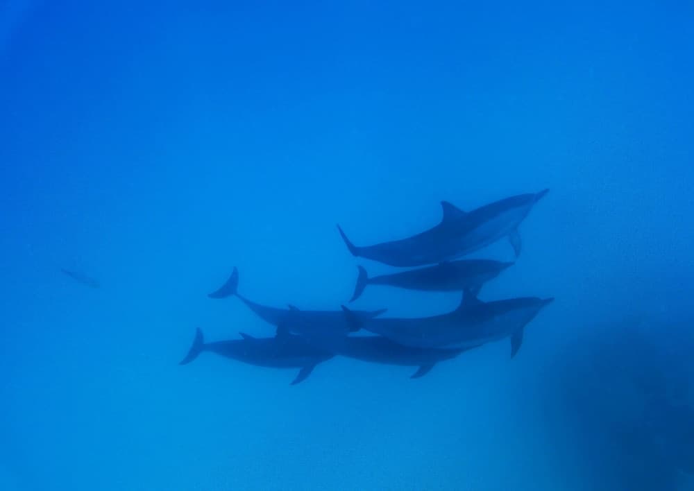 Adroit Beach Inn - View 146