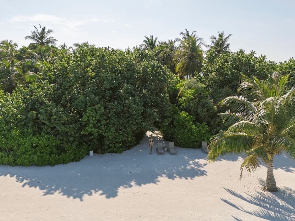 Cocoon Maldives - View 109