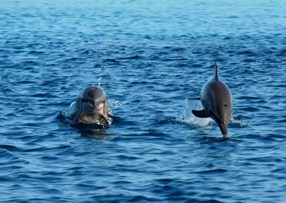 Summer Villa Guest House - View 27