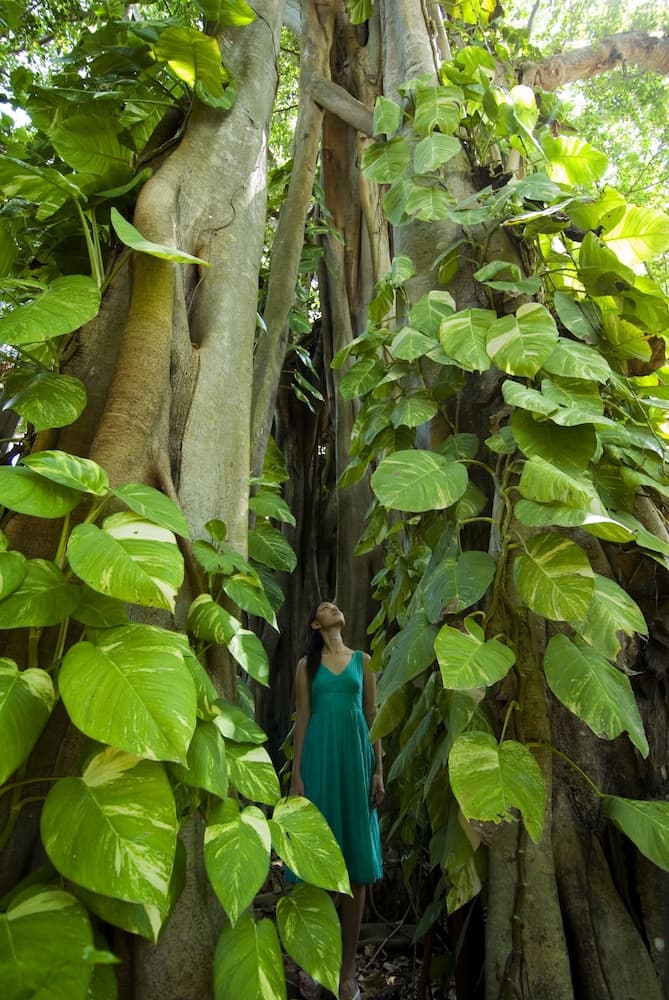 Kuramathi Maldives - View 34