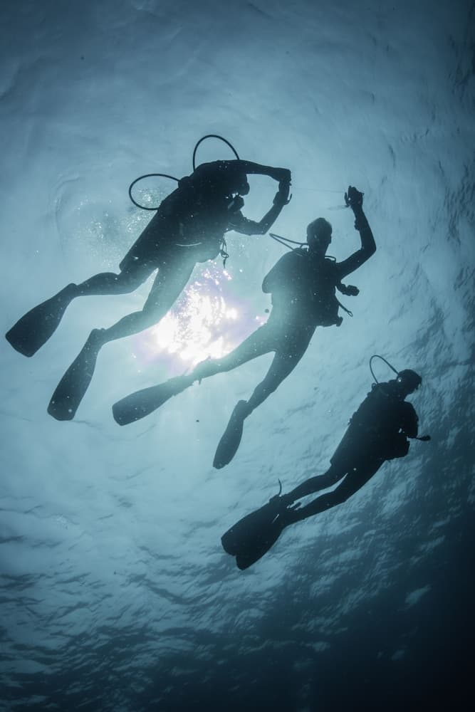 ROBINSON NOONU - All inclusive - View 87