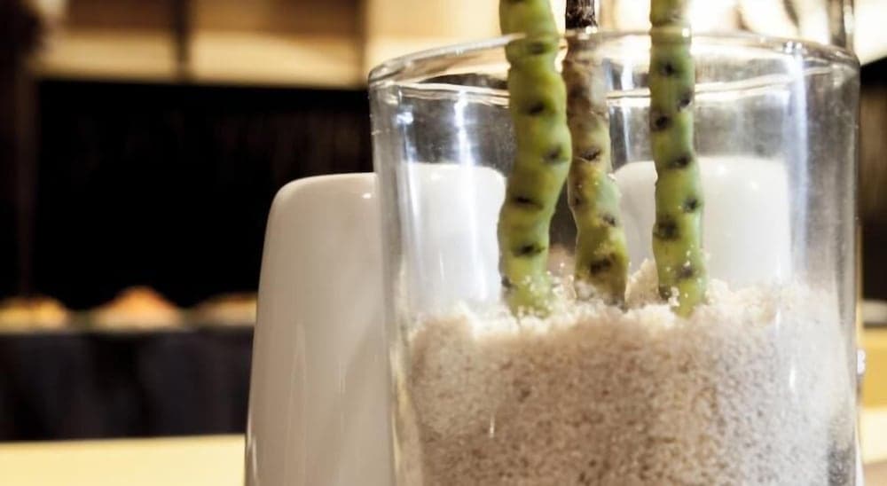 Asuruma View hotel - View 14