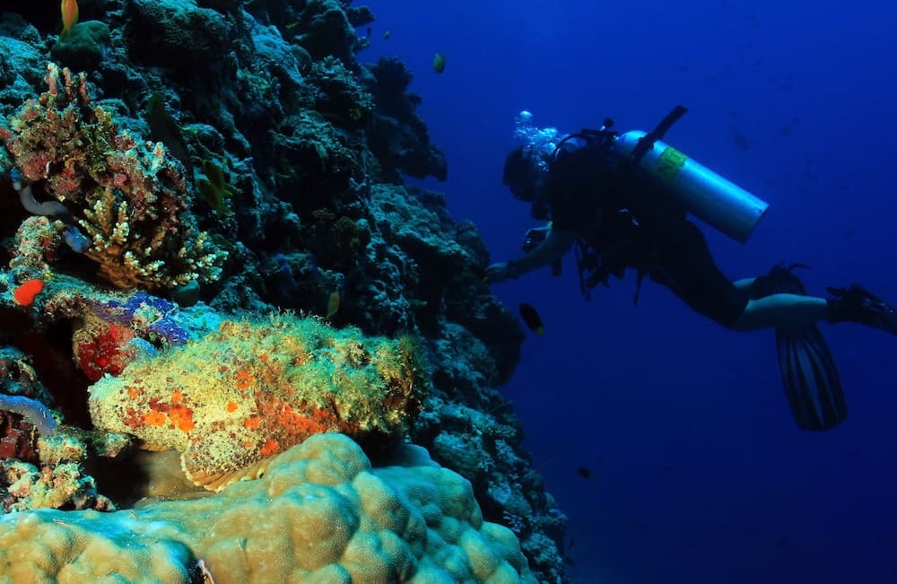 Radisson Blu Resort Maldives - View 60