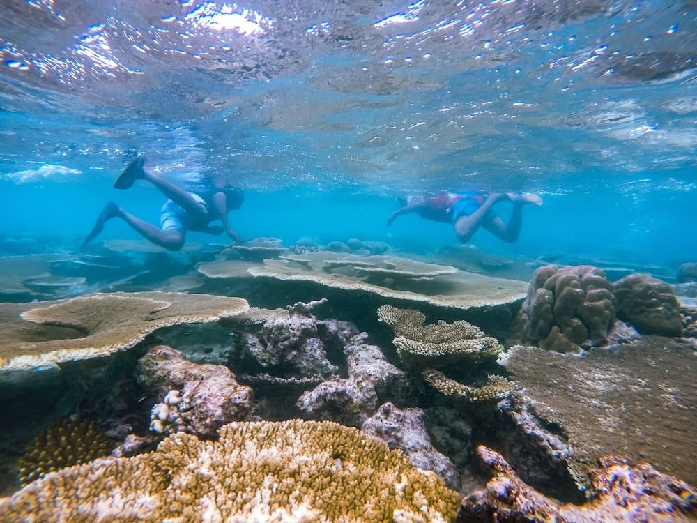 Hide Inn Blue - View 20