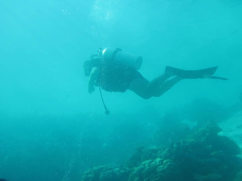 Ameera Maldives - View 48