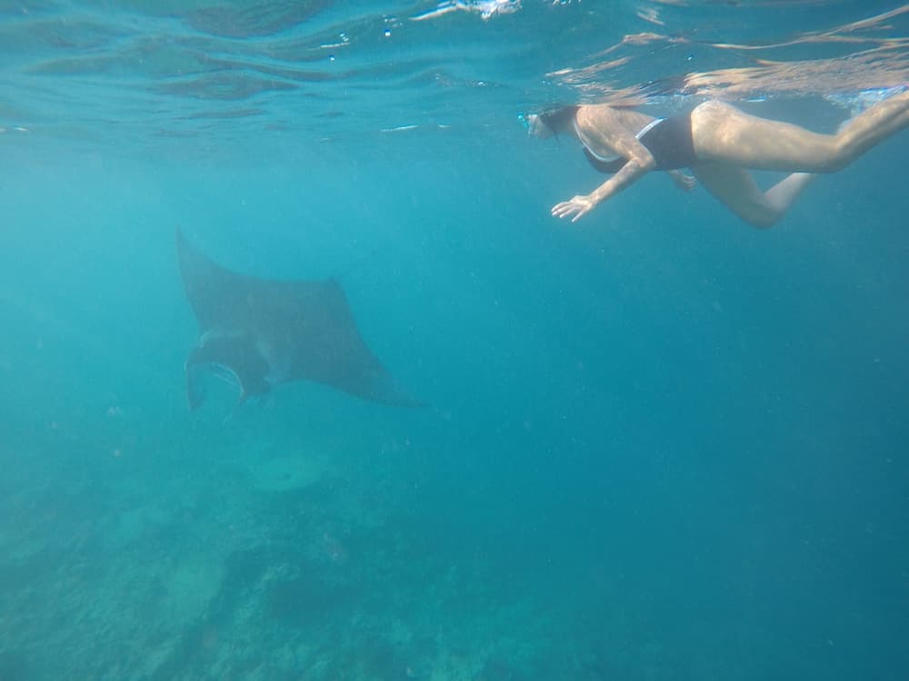 Ukulhas Beach Inn - View 71