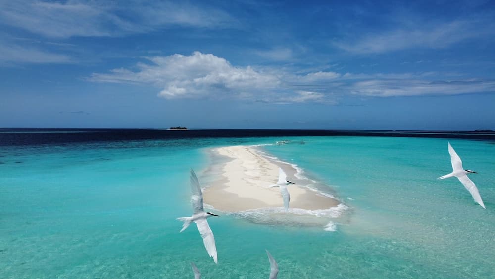 Kihaa Holiday Home - View 14