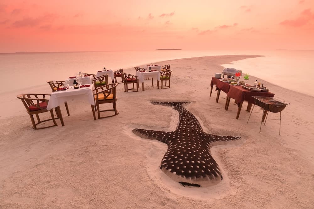 Dhigufaru Island Resort - View 86