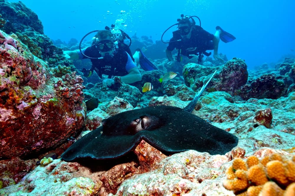 Holiday Inn Resort Kandooma Maldives by IHG - View 108