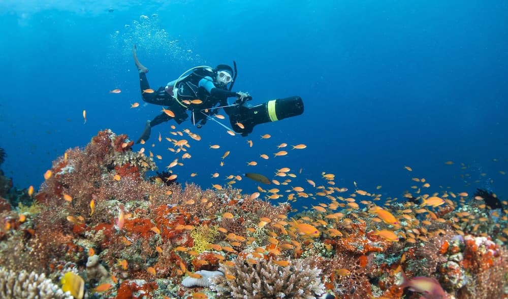 Four Seasons Maldives at Landaa Giraavaru - View 62