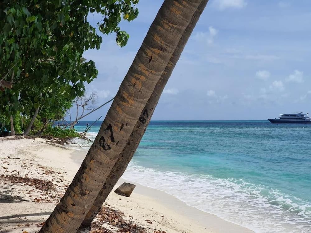 Orimas Retreat - View 45