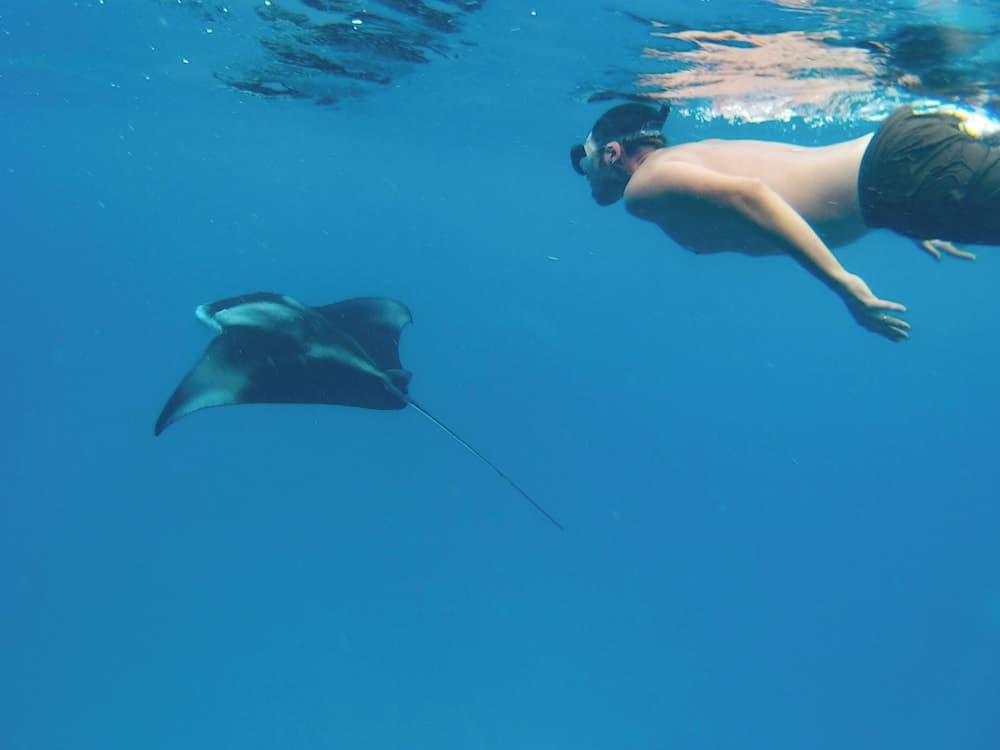 Ganduvaru Villa - View 42