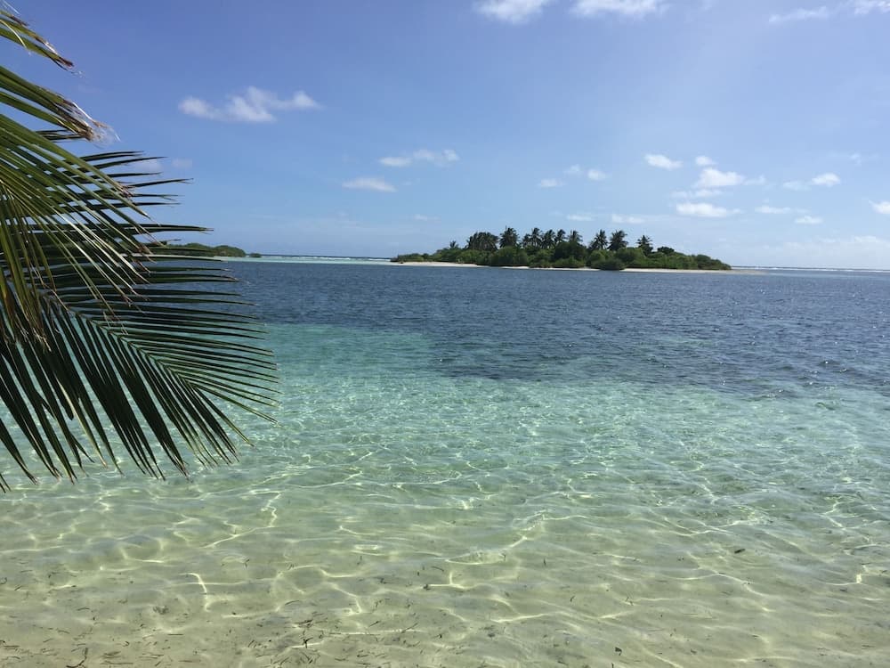 Sea Star Diving - View 3