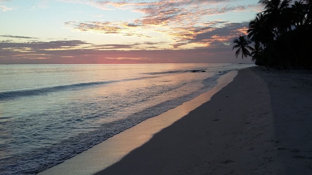 Dhon Fulhafi Inn - View 10