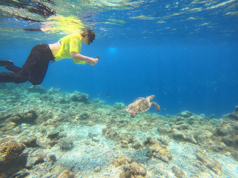 Manta Sea View - View 21