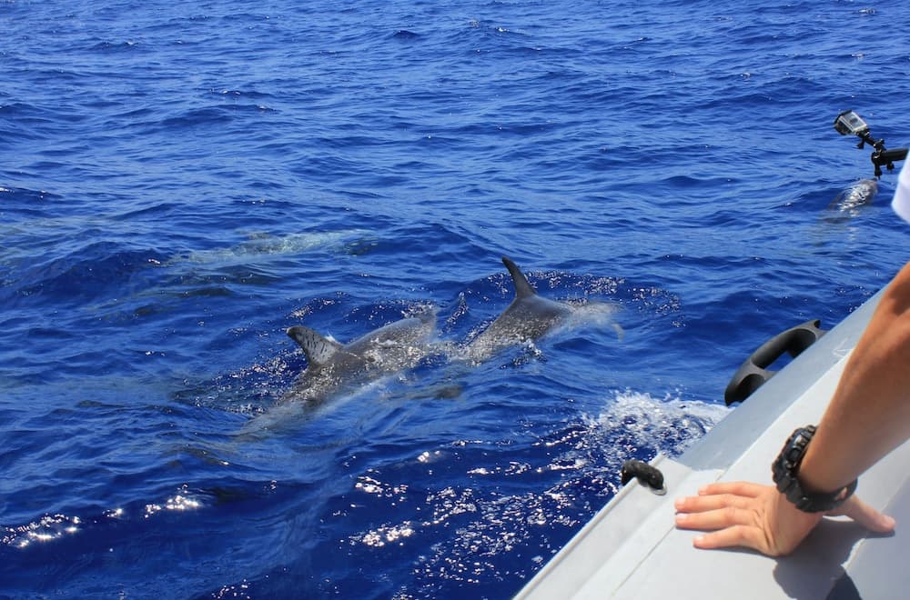 Kihaa Maldives - View 99