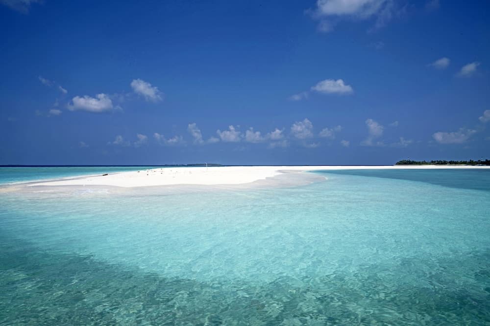 Ocean Village Maldives - View 21