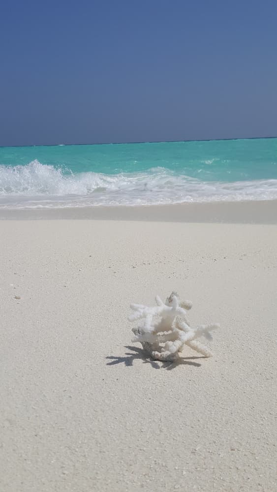 House Clover Hana - View 9