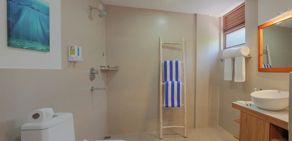 Cocomo Maldives - View 19