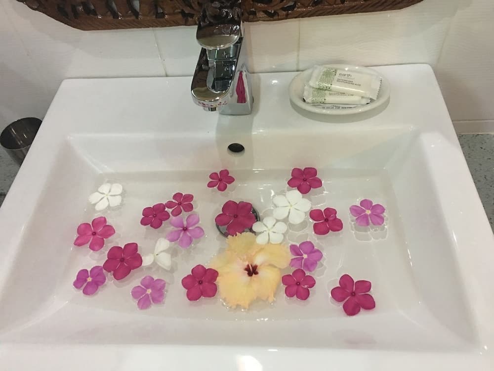 Hudhu Raakani Lodge - View 10