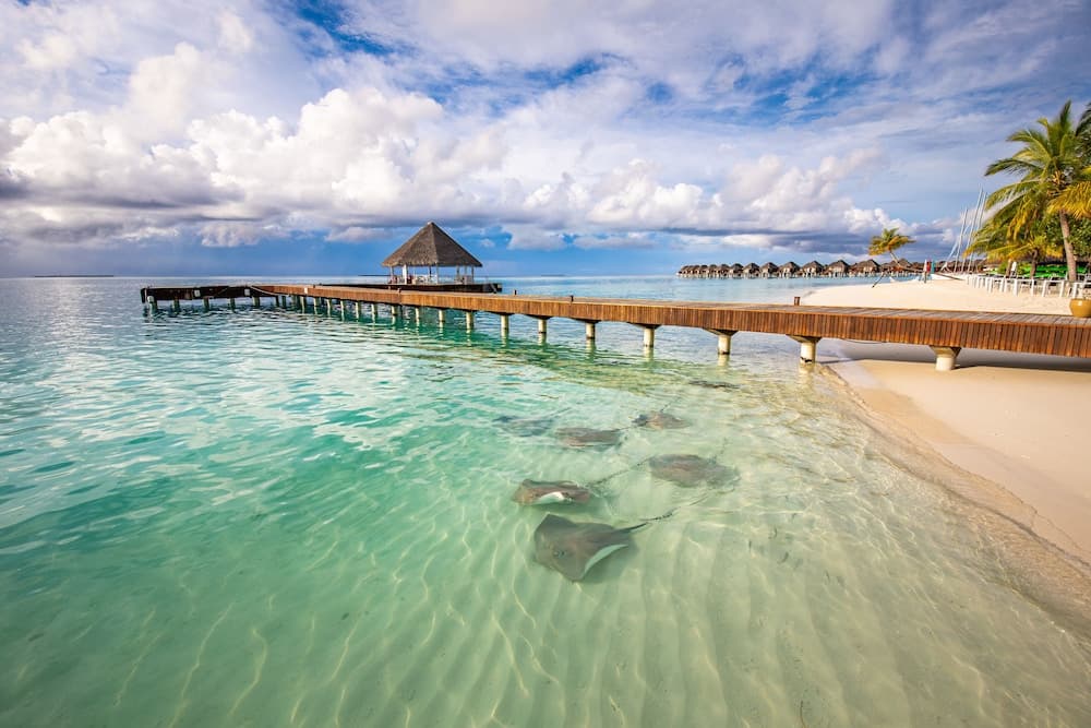 Sun Siyam Vilu Reef - All Inclusive - View 113