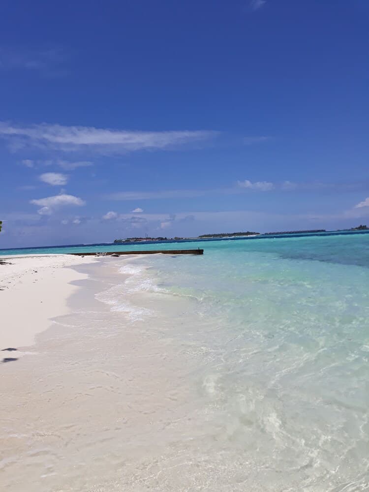 Hibiscus Holidays - View 20